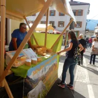 Tolmin je zadišal po friki