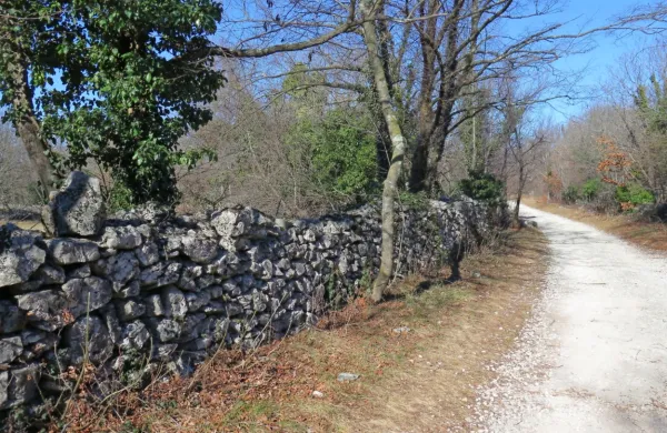 Živi muzej Krasa, ki povezuje Bazovico in Sežano, je nastal v sklopu 
čezmejnega evropskega projekta Kras-Carso. GeoKarst pomeni 
nadaljevanje čezmejnega povezovanja in korak naprej k ustanovitvi geoparka, so prepričani na sežanski občini. 