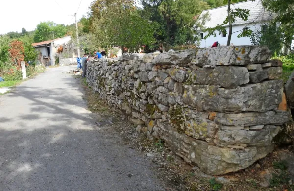 Zid ob domačiji pri “Brajdarjevih” je dvojni suhi zid, za katerega je 
značilno, da ima “lice” na obeh straneh.