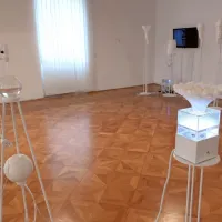 Vrtove bodočnosti napaja skrb za naš skupni jutri