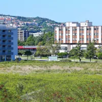 Mandarićeva parcela gre na dražbo