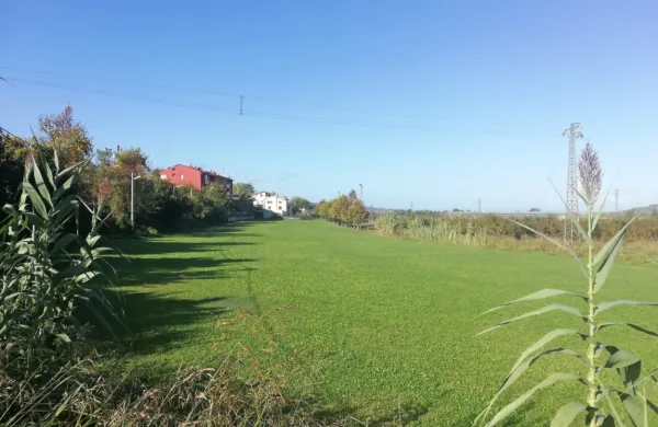 Krajani Sečovelj bi novo cesto najraje videli čez to kmetijsko 
površino, na severni strani kraja. 