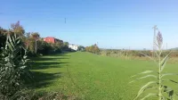 Krajani Sečovelj bi novo cesto najraje videli čez to kmetijsko 
površino, na severni strani kraja. 
