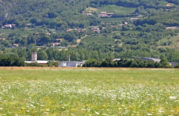 V občini Vipava naj bi bilo kar 50 hektarov nezazidanih stavbnih 
zemljišč.  Občina želi spodbuditi njihovo prodajo z višjim NUSZ.