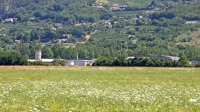 V občini Vipava naj bi bilo kar 50 hektarov nezazidanih stavbnih 
zemljišč.  Občina želi spodbuditi njihovo prodajo z višjim NUSZ.
