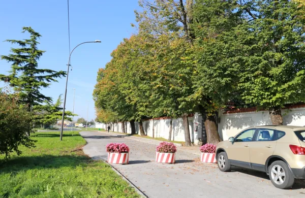 Nekatere Ajdovce motijo cvetlična korita, ki avtomobilom zapirajo 
dostop do vhodov na pokopališče. 