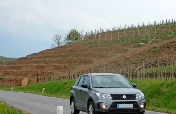Kot  kaže, bo po cesti med Dobrovim in Vipolžami vodila prva “ločena” kolesarska steza v Brdih.    