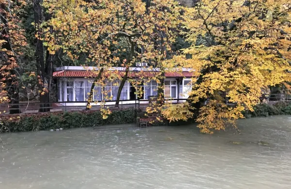 Po mnenju nadzornega odbora je  pogodba z najemnikom lokala 
Podskala za občino škodljiva.  