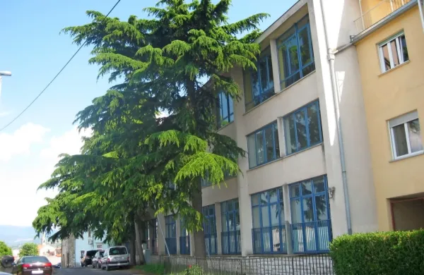 Še pred kakšnim mesecem so za staro kovinarsko šolo rasle štiri 
velike cedre. 
