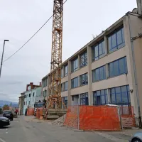 V Univerzi na Primorskem zagotavljajo, da bodo po obnovi stavbe 
tja zasadili nova avtohtona drevesa. 