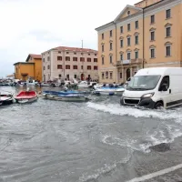 Piranski mandrač danes dopoldne
