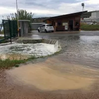 Sečoveljske soline