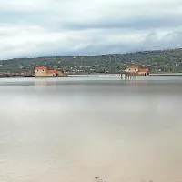 Sečoveljske soline