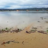 Sečoveljske soline