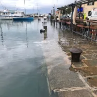 Izola, danes okrog 8. ure. Ponekod je morje že zalilo obalo.