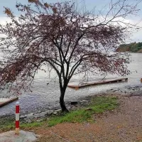 Valdoltra danes zjutraj