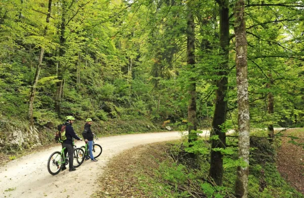 Na Trnovsko-Banjški planoti  stavijo tudi na kolesarski turizem, ki bi lahko pomagal povezati turistično ponudbo. 