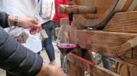 Kljub muhastemu in zahtevnemu letu so bili na Martinovo  kraški vinogradniki  zadovoljni s prvimi 
kozarci vina.