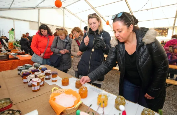 Od danes bo Strunjan obarvan živo oranžno, v barvah sadeža, po 
katerem je Strunjanska dolina znana po vsej Sloveniji in še 
širše. 