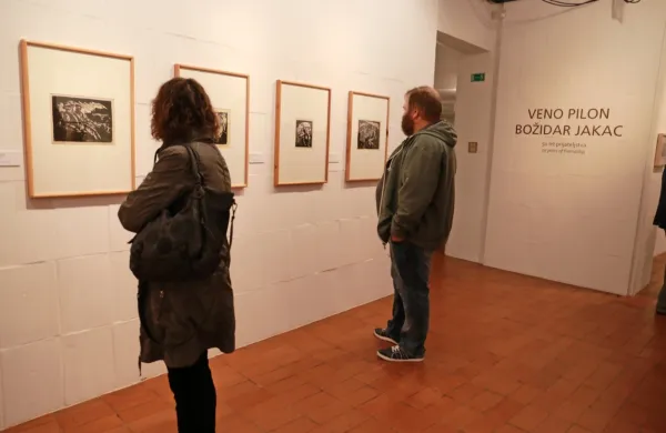  Razstava obsega zlasti izbor  risb in grafik,  nastalih  v Pragi v letih 1919-1921, kjer sta oba umetnika vsaj nekaj časa ustvarjala. 