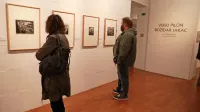  Razstava obsega zlasti izbor  risb in grafik,  nastalih  v Pragi v letih 1919-1921, kjer sta oba umetnika vsaj nekaj časa ustvarjala. 