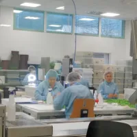 Brez pridnih rok zaposlenih kakovostnih katetrov ne bi bilo. 