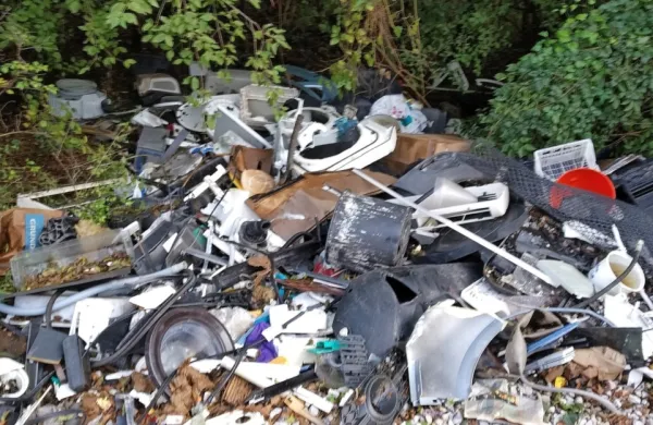 V kupu odpadkov ob poti v Škocjanske jame je bilo kar nekaj 
papirjev, ki so dajali upanje, da bo inšpektor našel krivca. A se je 
upanje tokrat izjalovilo. 