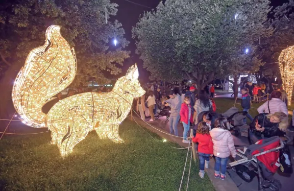 V Hlavatyjevem parku ob tržnici bodo tudi letos na ogled velike svetleče živali, ki so jih kupili lani.