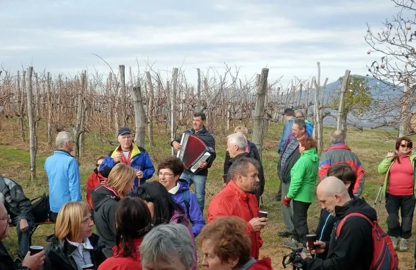 Pohod po šempaskih bregovih oziroma vinogradih privablja vse 
več pohodnikov. 