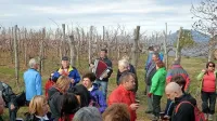 Pohod po šempaskih bregovih oziroma vinogradih privablja vse 
več pohodnikov. 