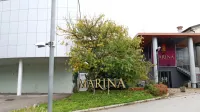 Konec januarja se je v Marini na Ajševici končala dobičkonosna 
dejavnost plačanih spolnih storitev.