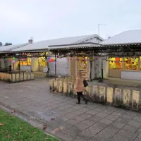 40 let gradijo lepši svet