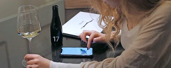 Katero vino se skriva v 17. adventni steklenički vina?