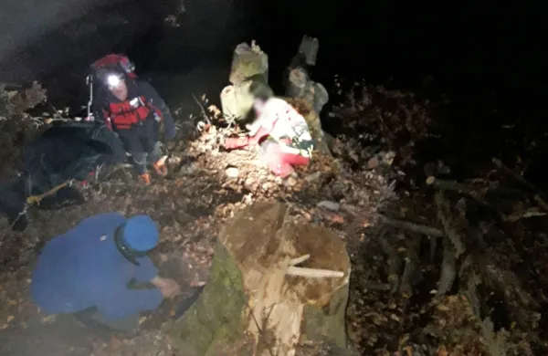 Med spravljanjem lesa v gozdu nad naseljem Podbrdo se je v torek 
na 38-letnega gozdarja prevrnil drevesni panj in ga poškodoval do 
smrti.