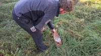 V Bodrežu so našli tudi šrapnel s smodnikom, ki je tehtal 41,7 
kilograma.  