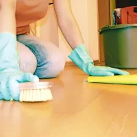 Med tujimi delavci, ki v Italiji delajo na črno, je  gospodinjskih 
pomočnic, precej je tudi negovalk starejših. 