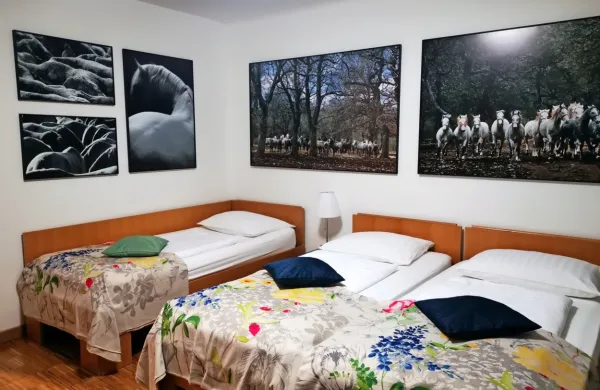 Soba v Korotanu, posvečena lipicancem in Lipici.