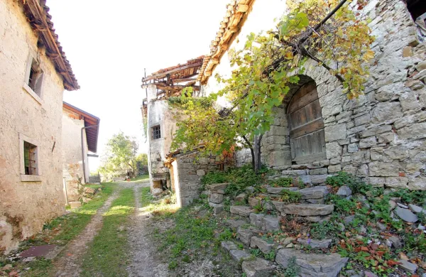 Vasica Slapnik je prazna že več desetletij. Izbrali so jo za prizorišče 
resničnostnega šova,  v katerem naj bi  jo obnovili in ji vrnili 
prvotno arhitekturo.