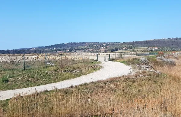 Luka Koper lahko zemljišče, ki je že nasuto, hitro pripravi za 
skladiščenje avtomobilov. 