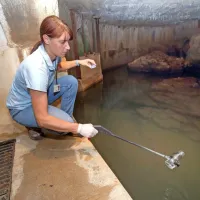 Surovo vodo na izviru reke Rižane  še vedno vzorčijo šestkrat na 
dan, vsake štiri ure.