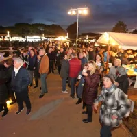Festival penin: šampion je rebula iz kleti Silveri