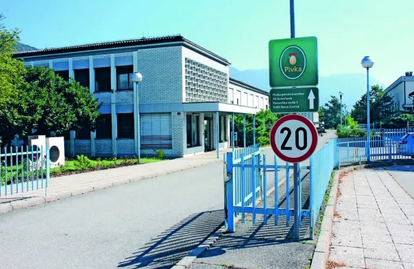 V nekdanjem Mipovem kompleksu v Kromberku družba Pivka 
perutninarstvo že od lanskega julija proizvaja piščančje izdelke. 