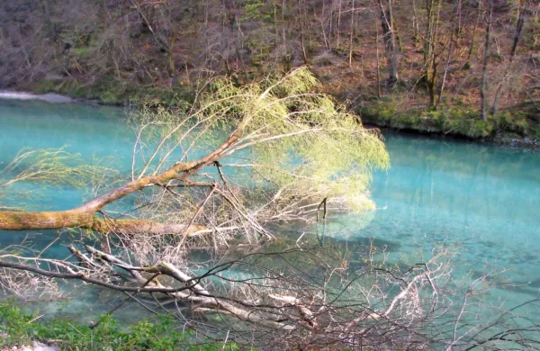 Ob Soči bo jutri prva čistilna akcija v tem letu.