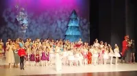Na odru Kosovelovega doma je Hrestača odplesalo skoraj 140 
plesalcev petih baletnih društev, ki delujejo na Krasu.