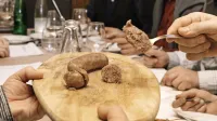 Dutovlje postaja središče krodeginov.