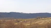 Koprska občina oddaja v zakup obsežno, kar 184.425 kvadratnih 
metrov  veliko zemljišče  pred Pučami, kjer prek razpisa zahteva 
ureditev oljčnika. 