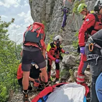 Spomladi in poleti pogosto rešujejo tuje padalce, ki zasilno 
pristanejo v krošnjah dreves na težko dostopnih terenih.