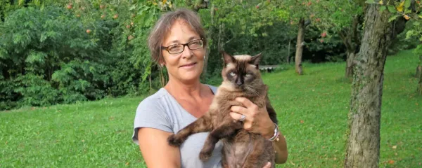 Prebavne težave psov in mačk