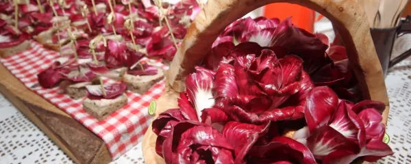Dnevi za goriški radič