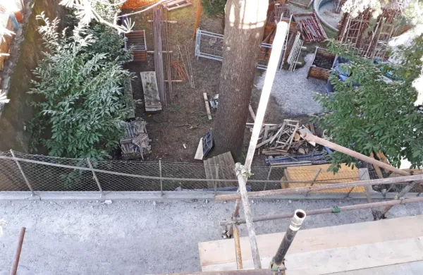 Neodgovorno do dreves